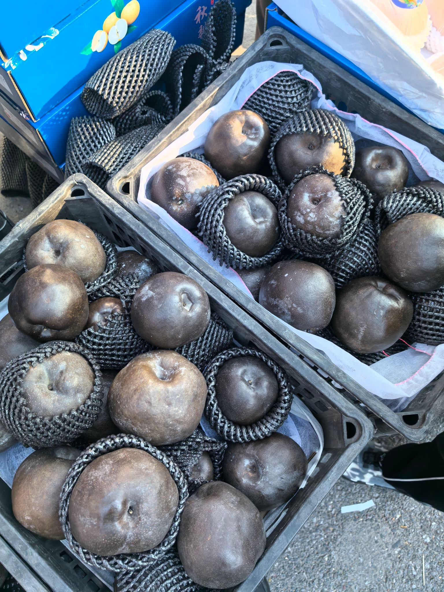 Yes! I found the black apple! It