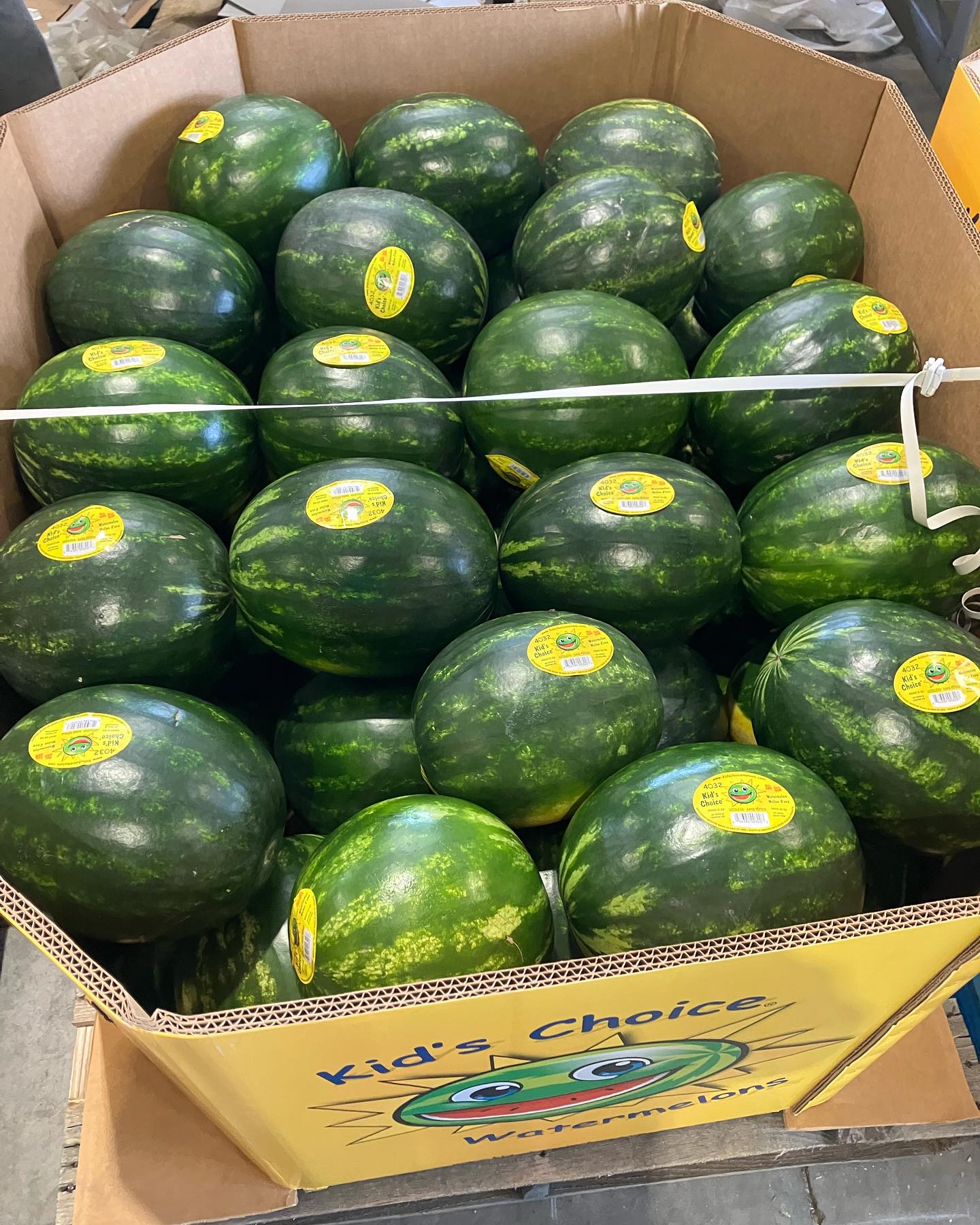 Kid's Choice Watermelons
