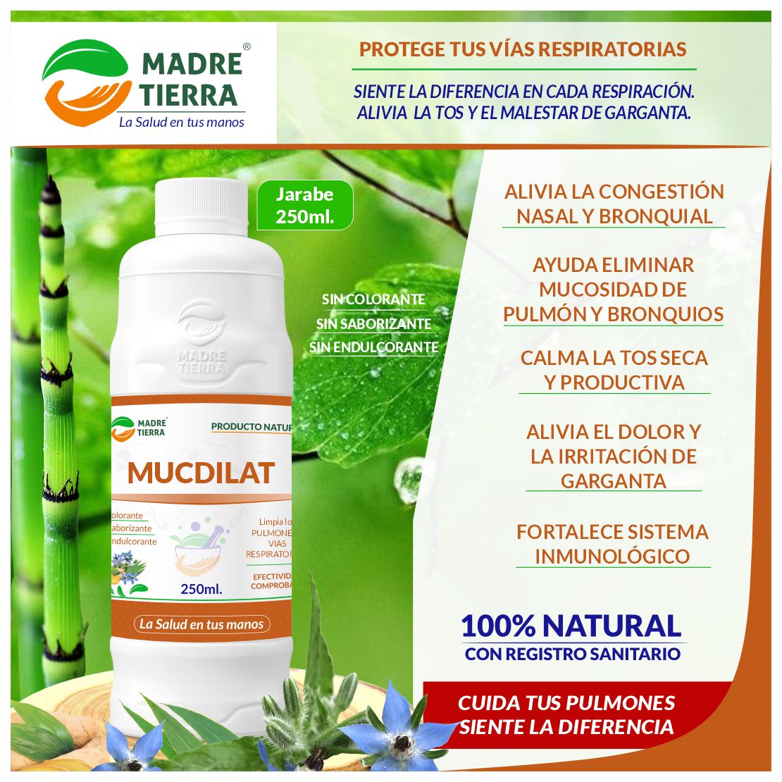 Madre Tierra - El sistema respiratorio es el conjunto de... | Facebook