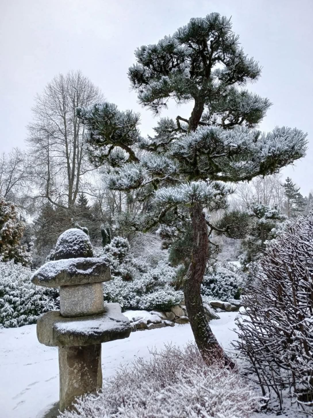 Yukimi doro snow-viewing lantern design