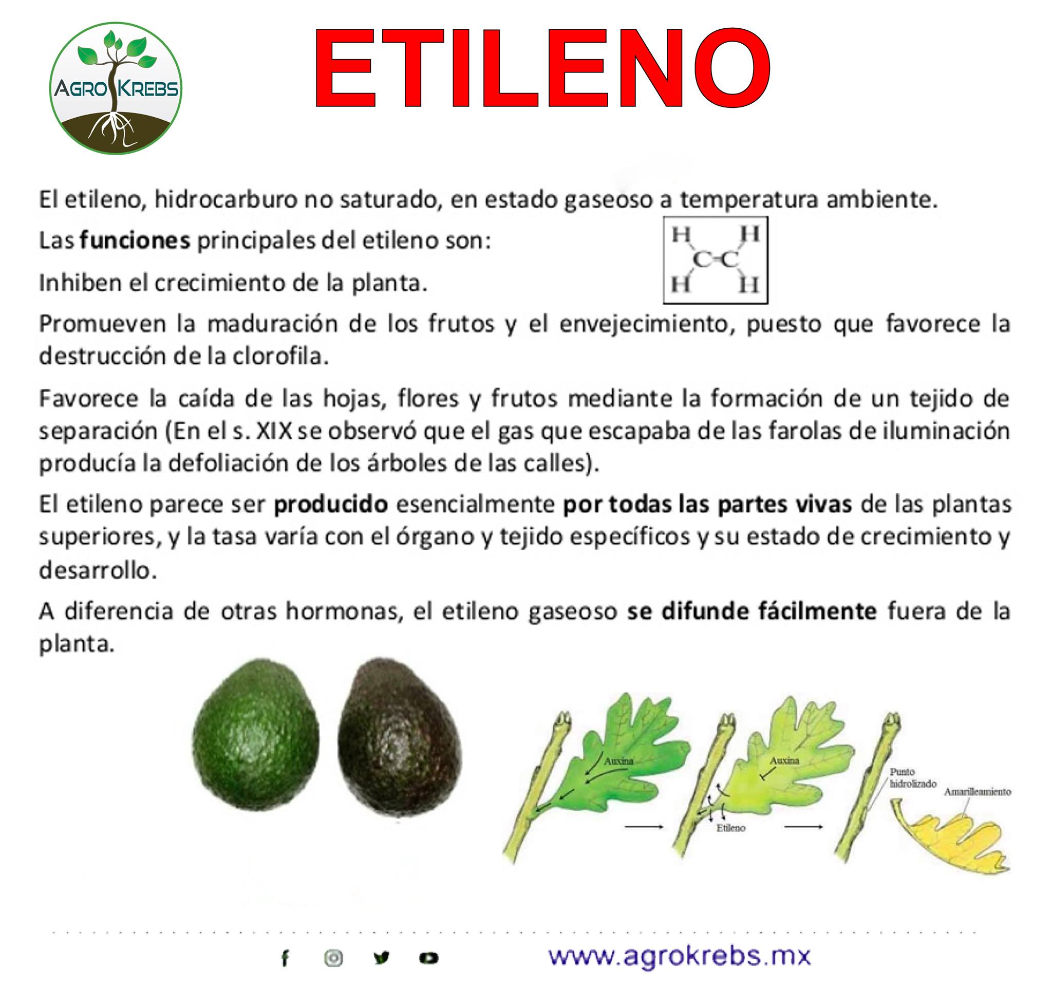 Agro Krebs - Etileno El etileno se trata de un gas con... | Facebook