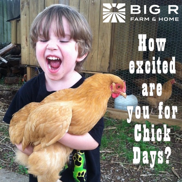 Big R Farm and Home | Olney IL