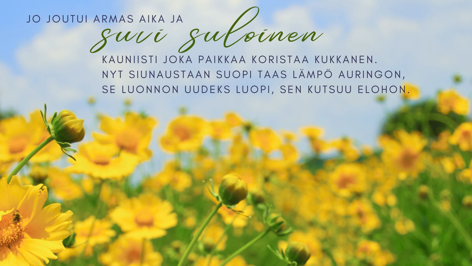 Suomen Punainen Risti Kaakkois-Suomen piiri - Teltan runko rakentui ...