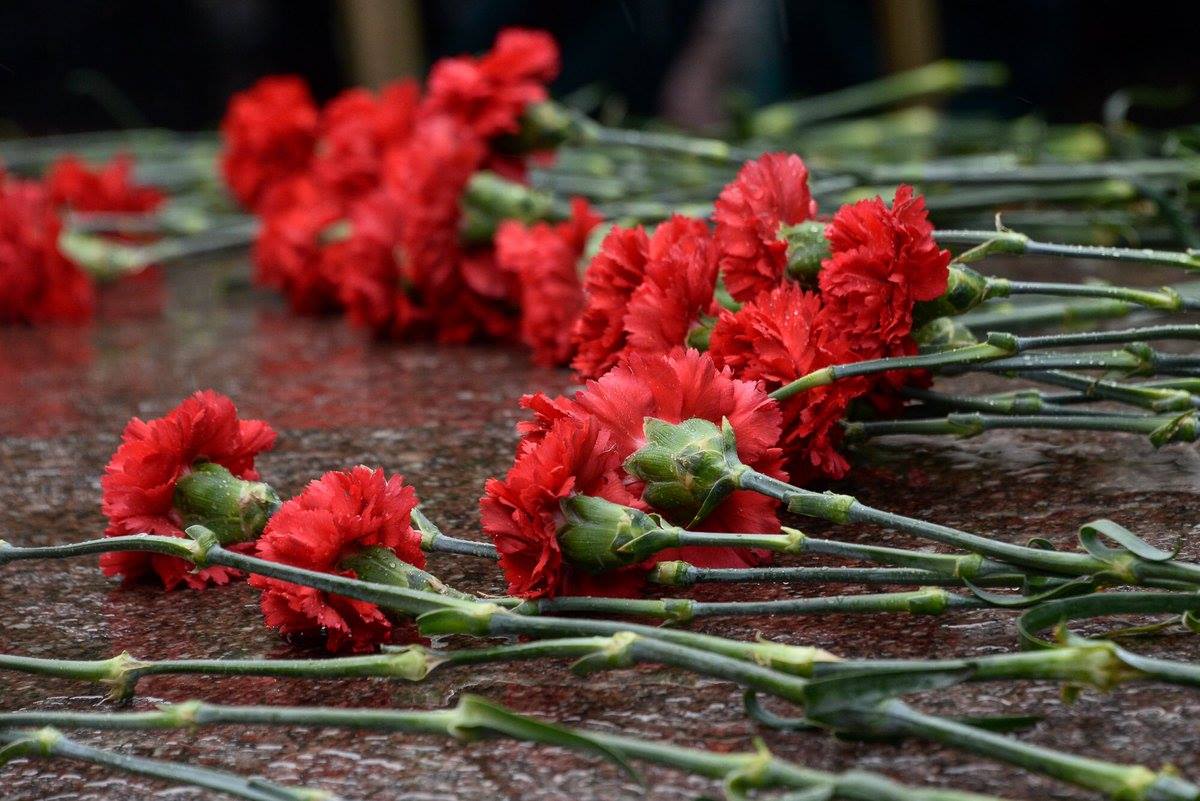 Фото памяти погибшим в войну. Гвоздики возложение. День Победы возложение цветов. Гвоздики у обелиска. Гвоздики на мемориале