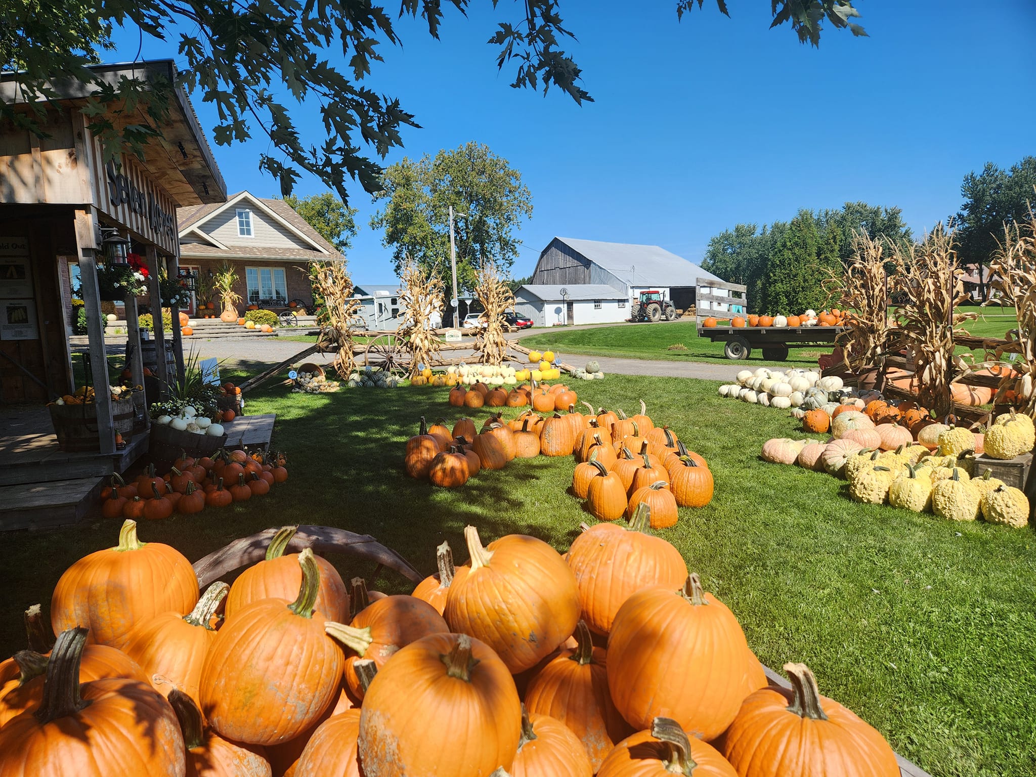Seven Acres Family Farm | Ingleside ON
