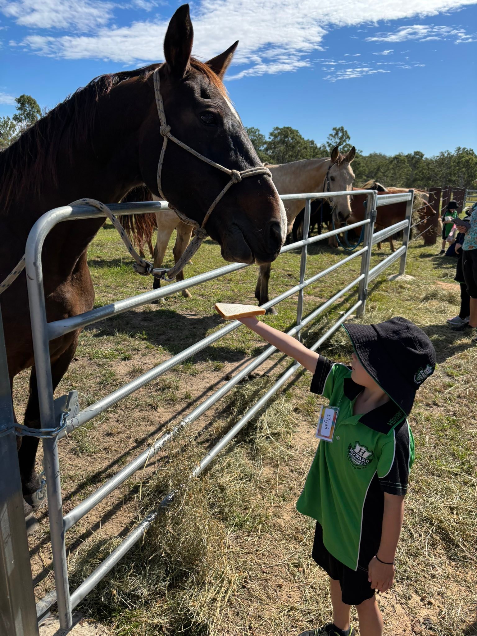 Howard State School added a new photo. - Howard State School
