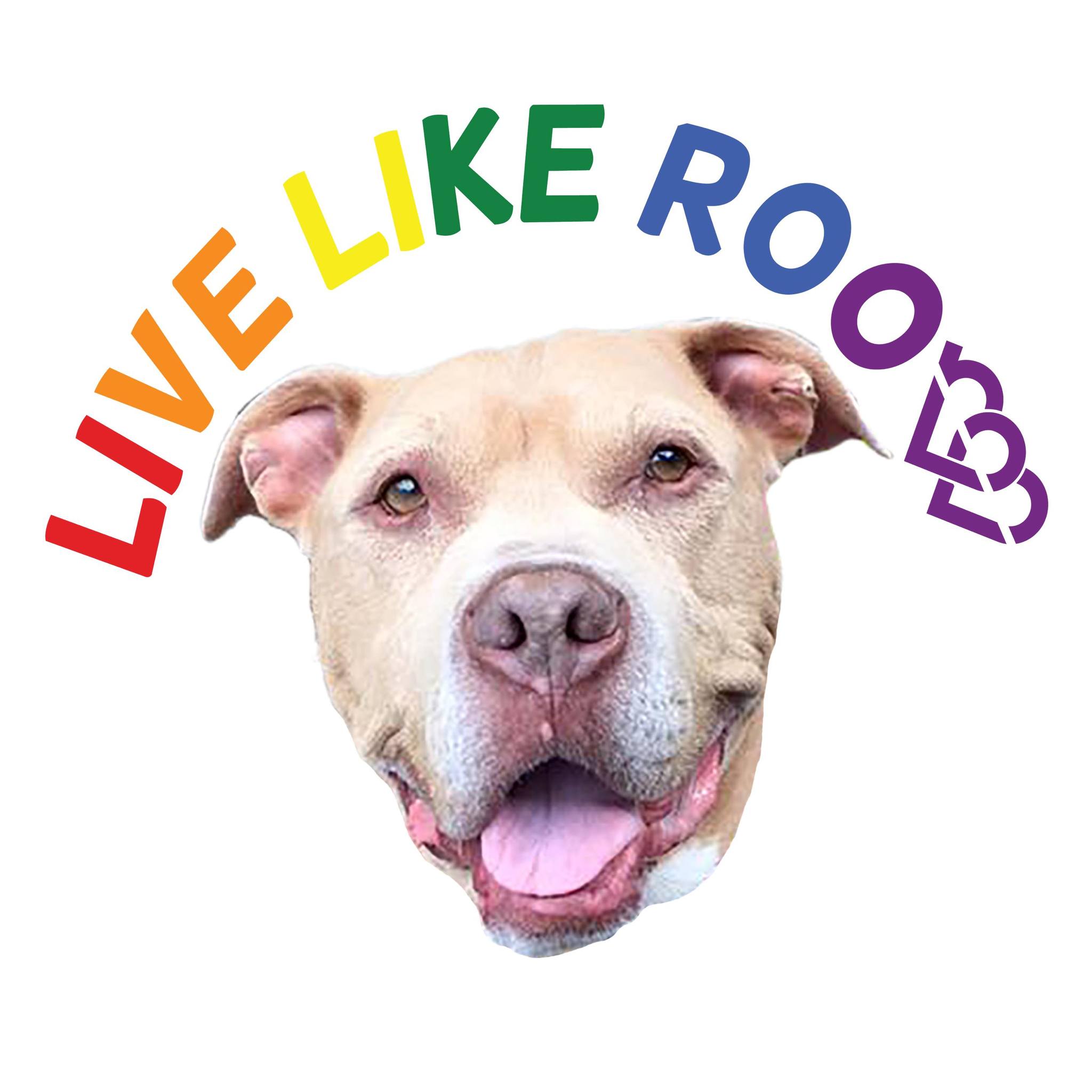 🧡 This one is for the “yep, my pet is my whole heart” people!!! One of ...