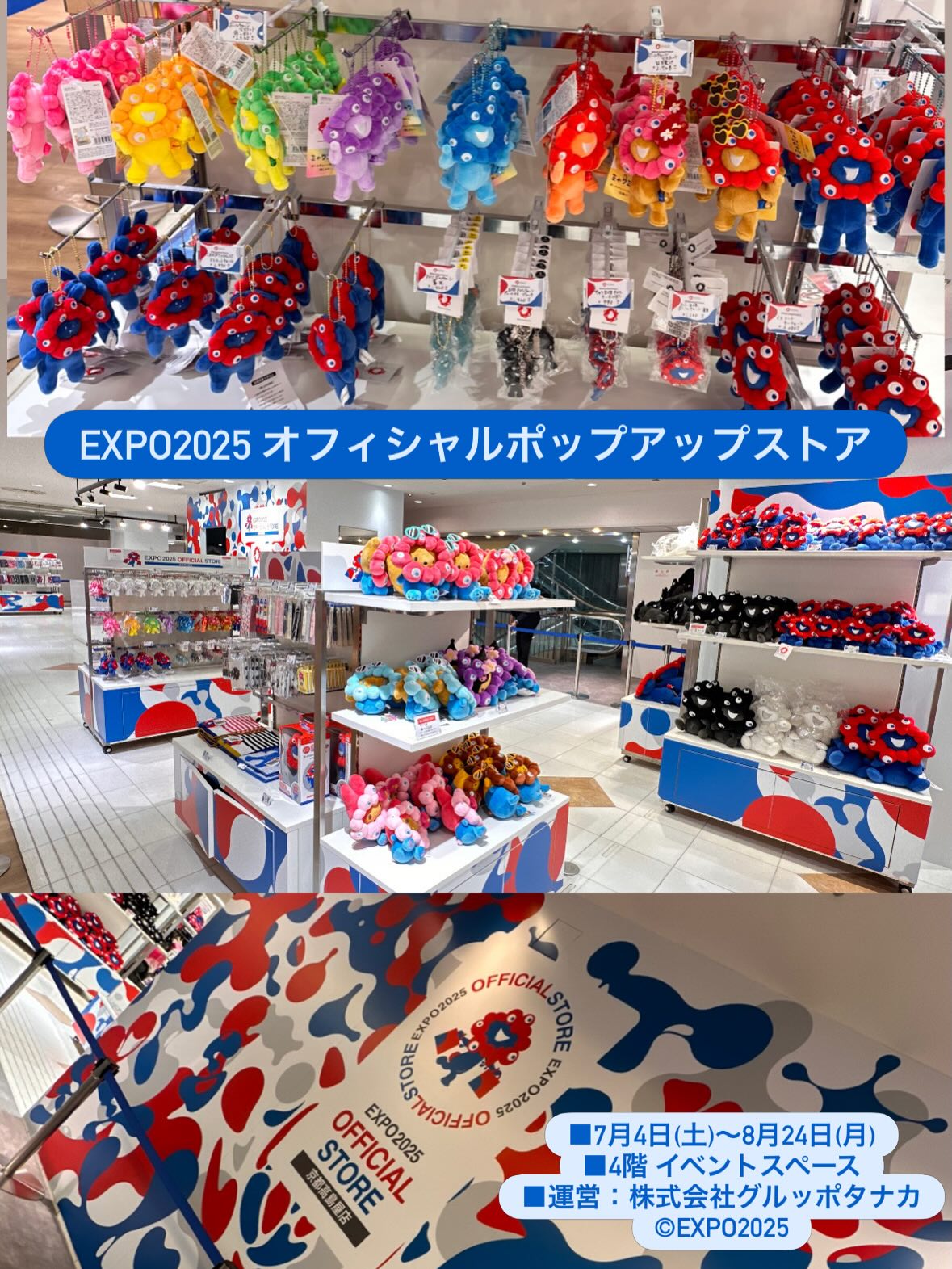 活動歴および当時の関連ビジュアル記録