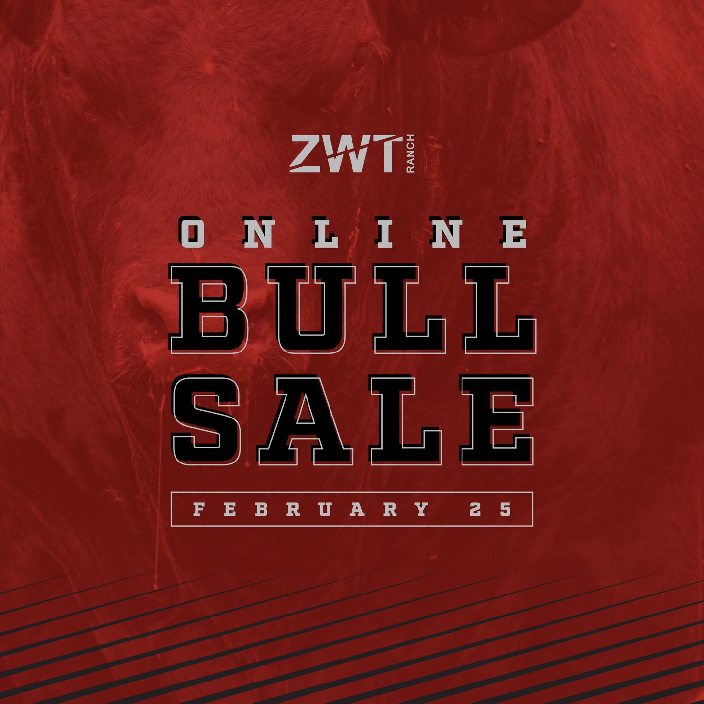 ZWT Ranch | Crossville TN