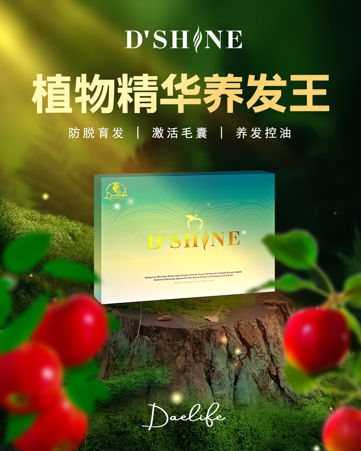 阿豪 - 养发王 DLive