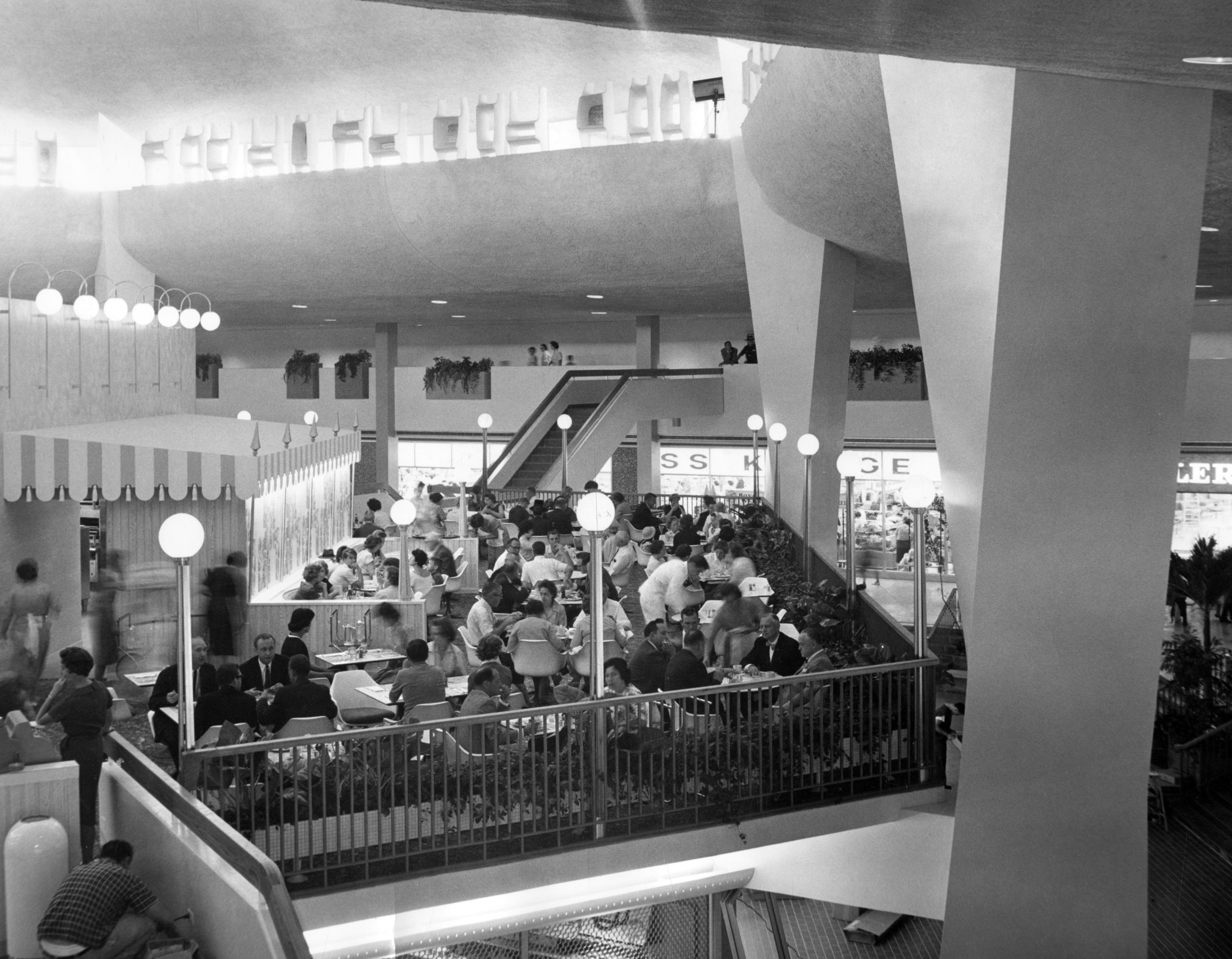 Original - People eat at the Tree Top Restaurant in the heart of the ...