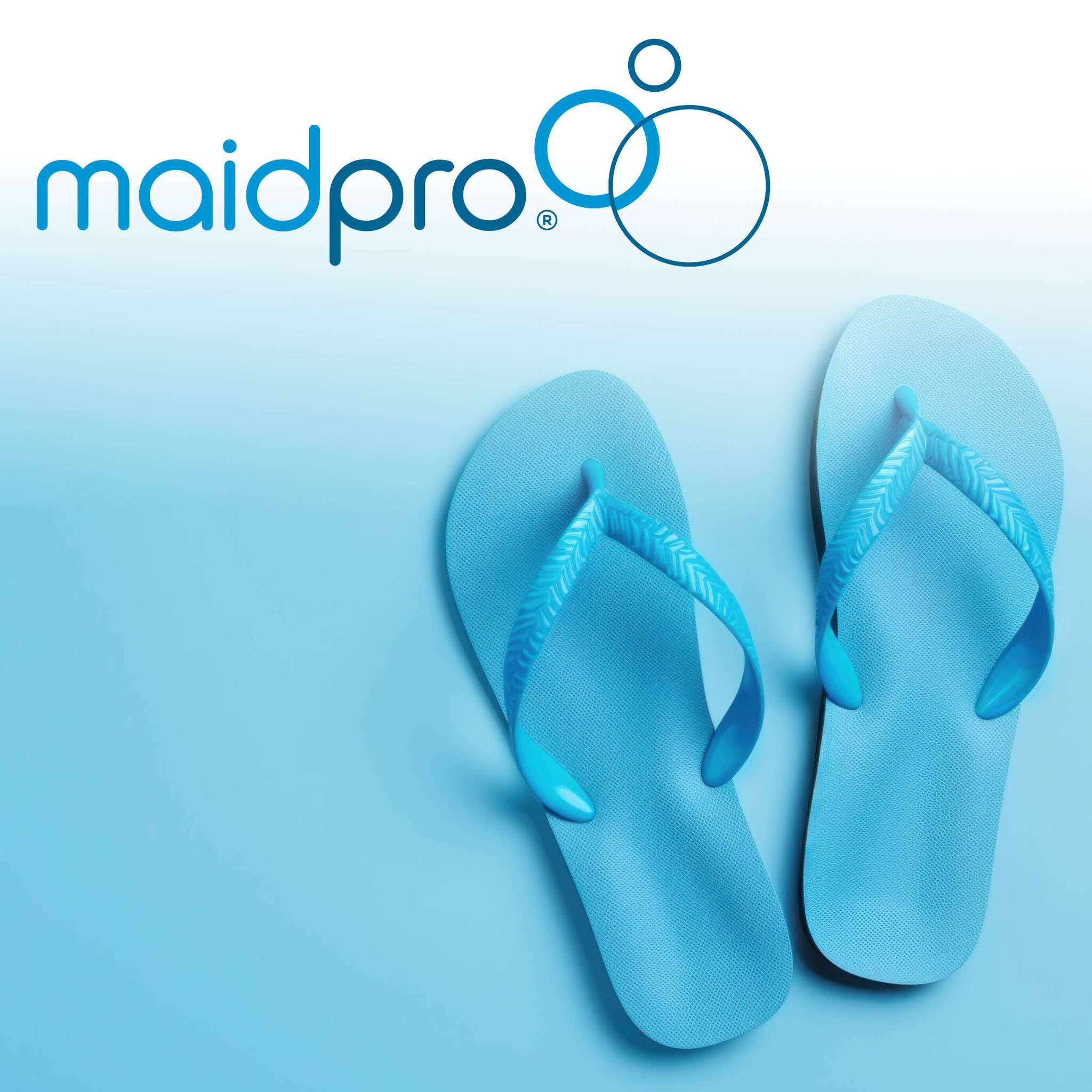 MaidPro of Asheville | Asheville NC