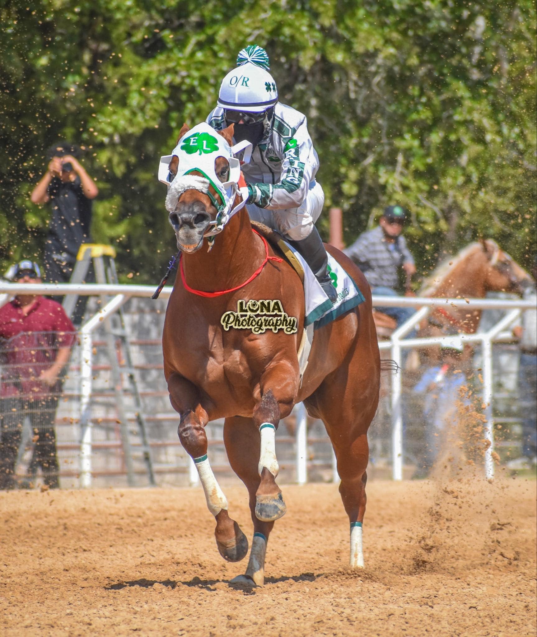 Luna Racing Stables | Seguin TX