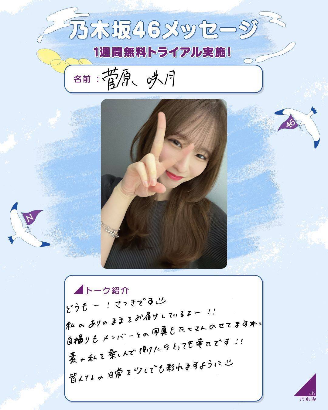 乃木坂46 菅原咲月 乃木フェス タペストリー サイン無し 乃木坂46 菅原