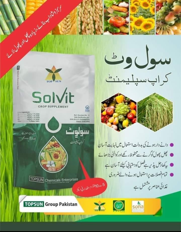 Samina Iqbal - Digital Marketing Executive | Multan