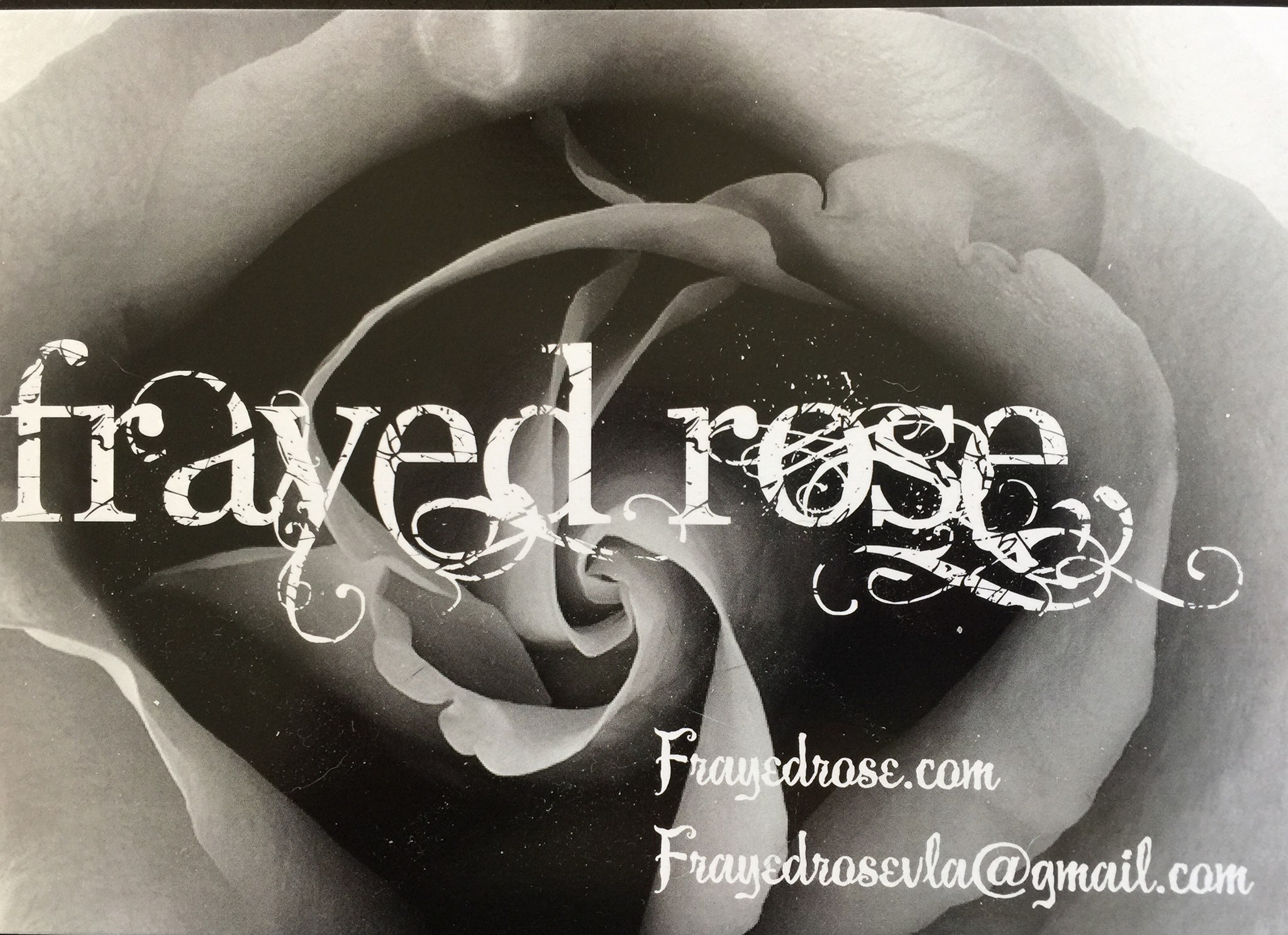 Frayed Rose