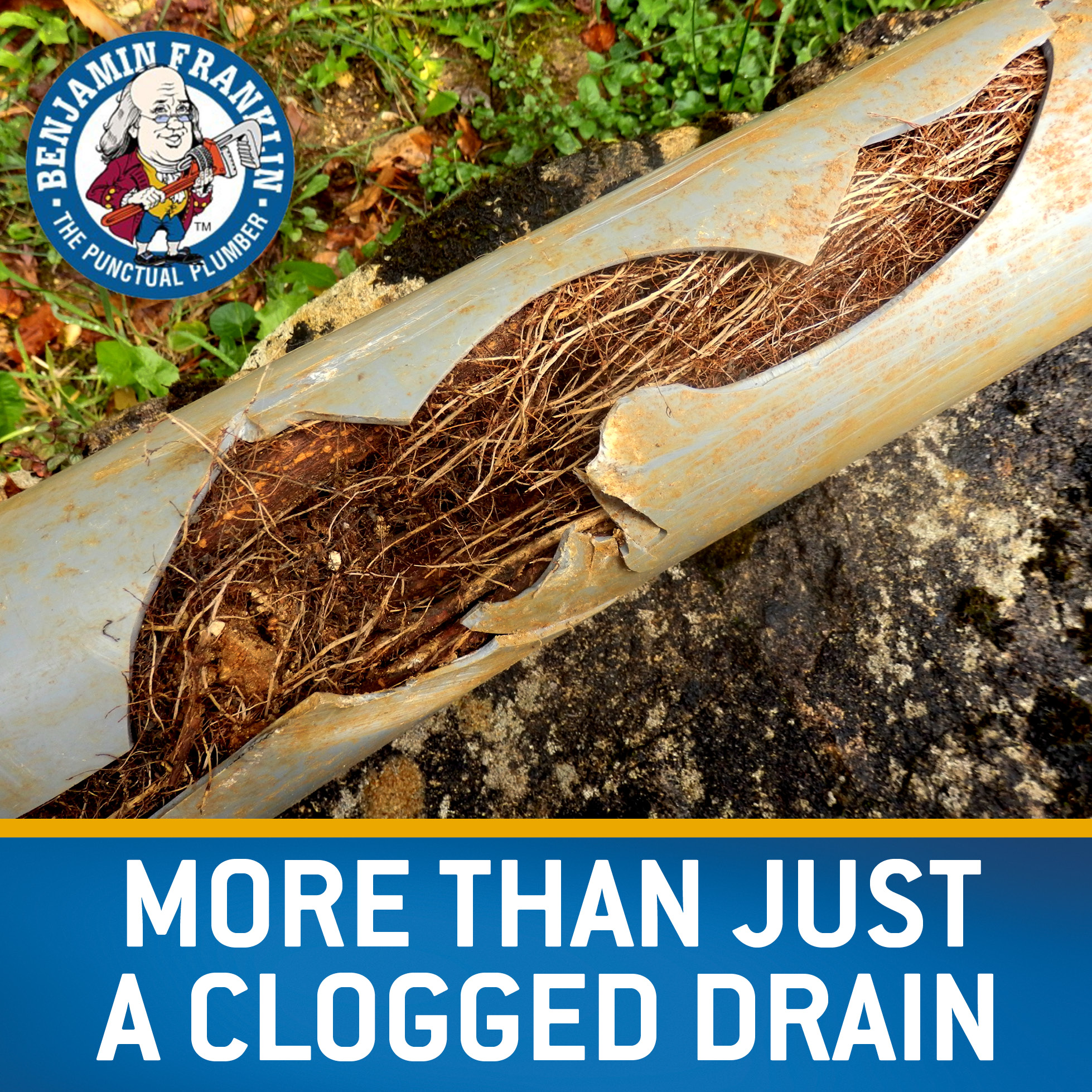 Ben - While a single clogged drain is often not a cause for alarm, if
