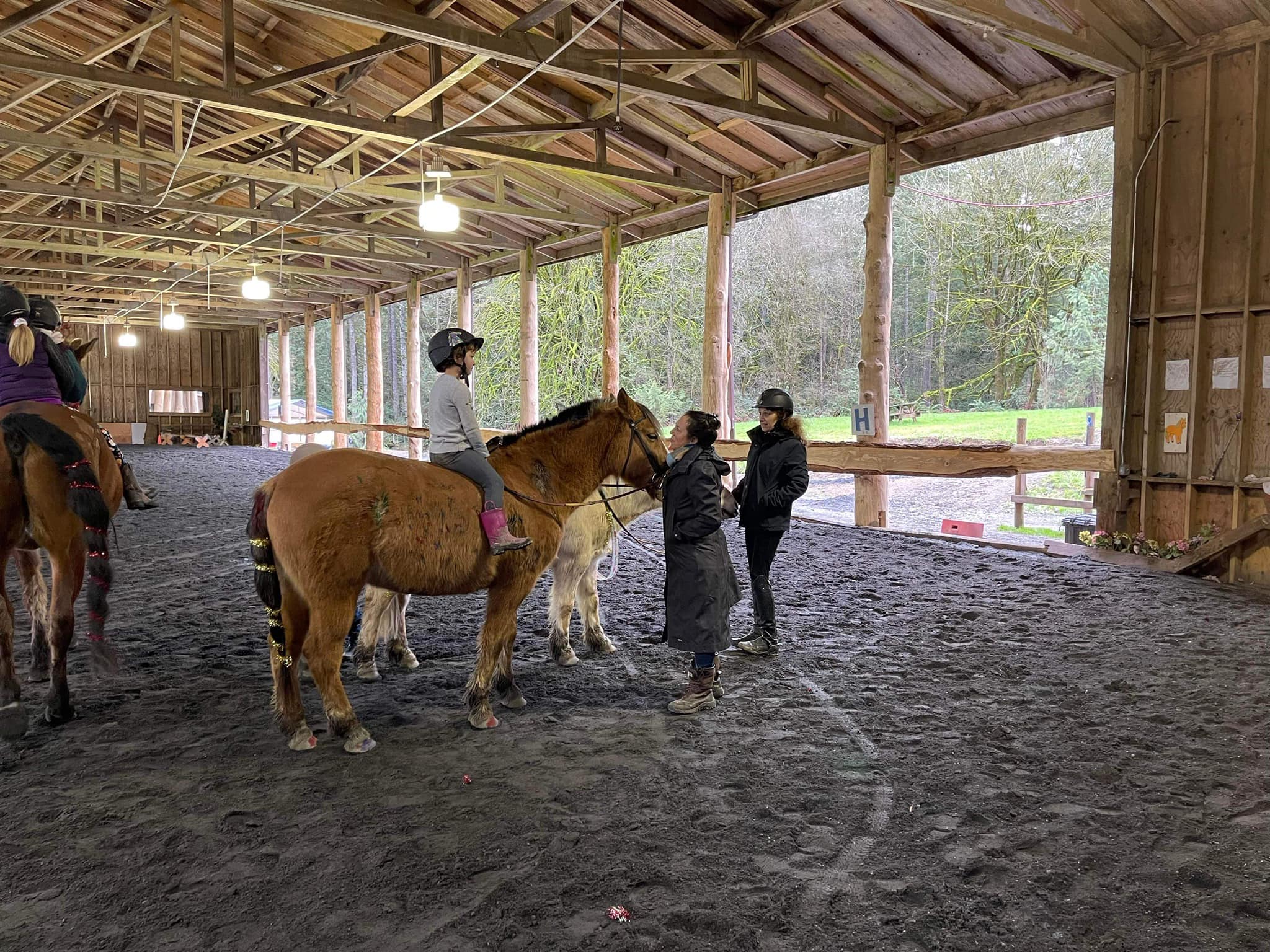 Grand Farms Riding Academy... - Grand Farms Riding Academy