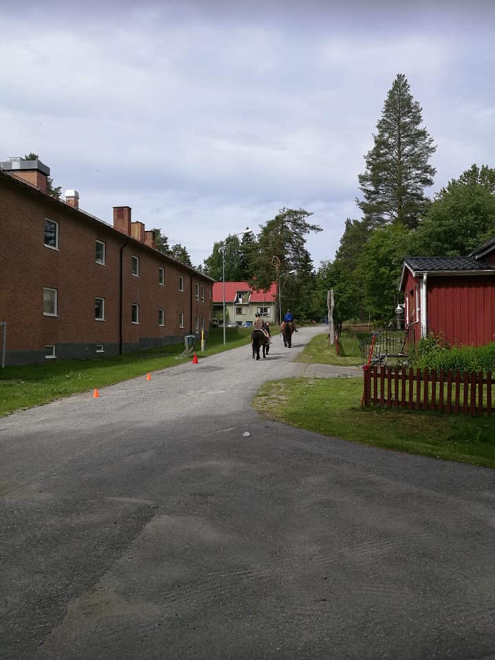Vilken dag det blev 😊... - Medborgarhuset Trehörningsjö | Facebook