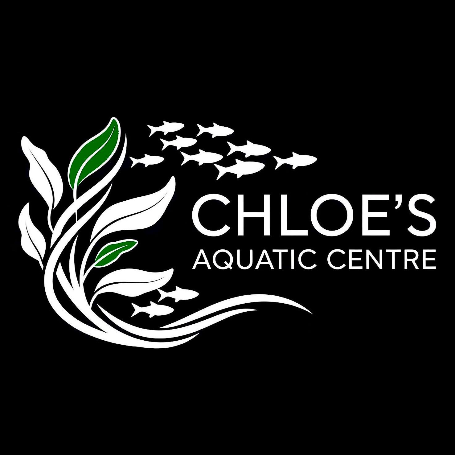 Electric Yellow Lab Cichlid ⚡️💛 #aquarium #fishtank #fish #pets #nature ...