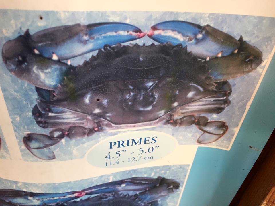 South Bay Seafood Corp. East Patchogue NY