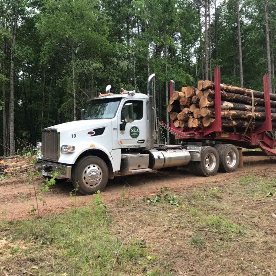 Southeast Alabama Timber Harvesting, LLC