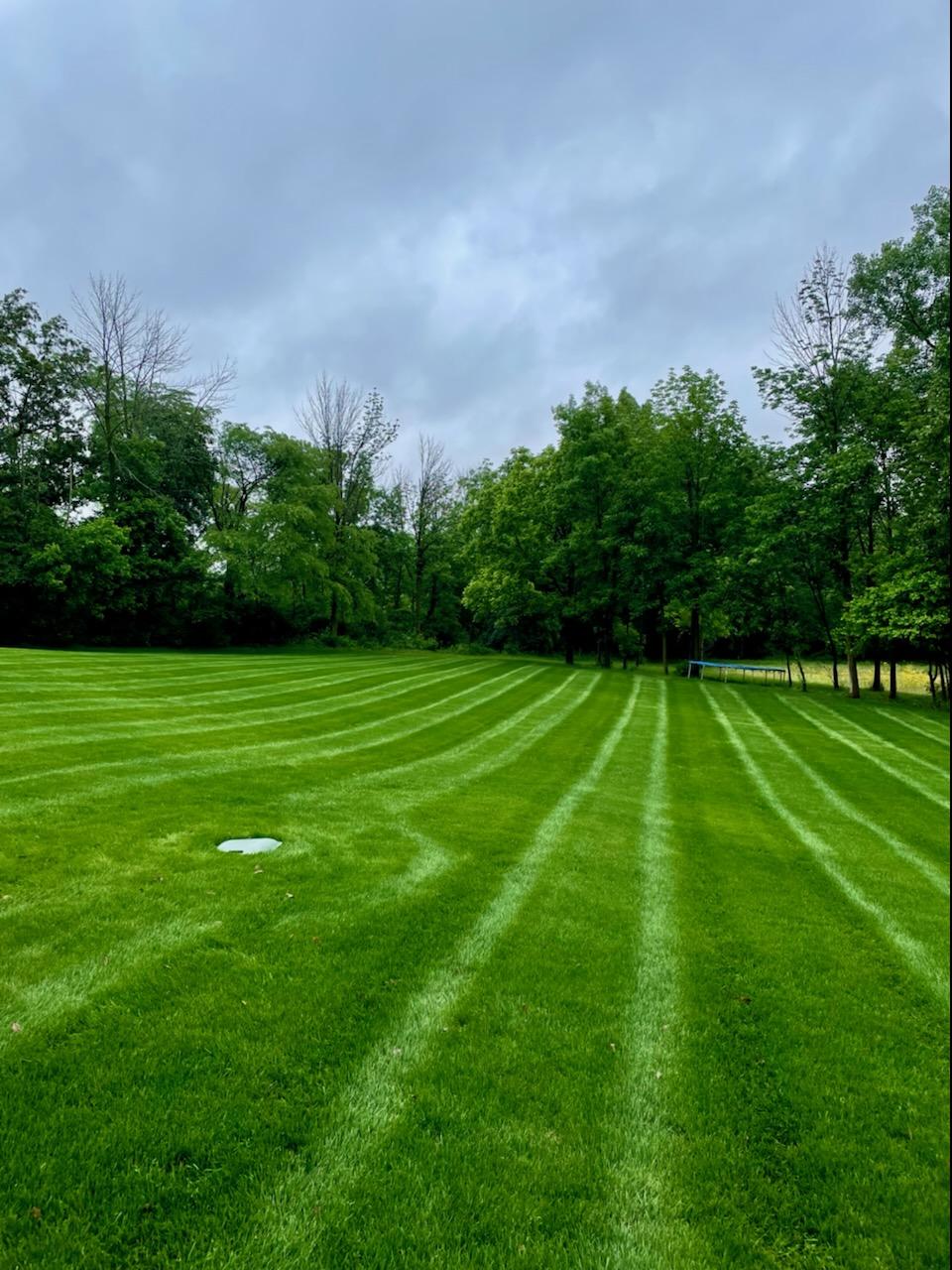 Execu-Turf | Indianapolis IN