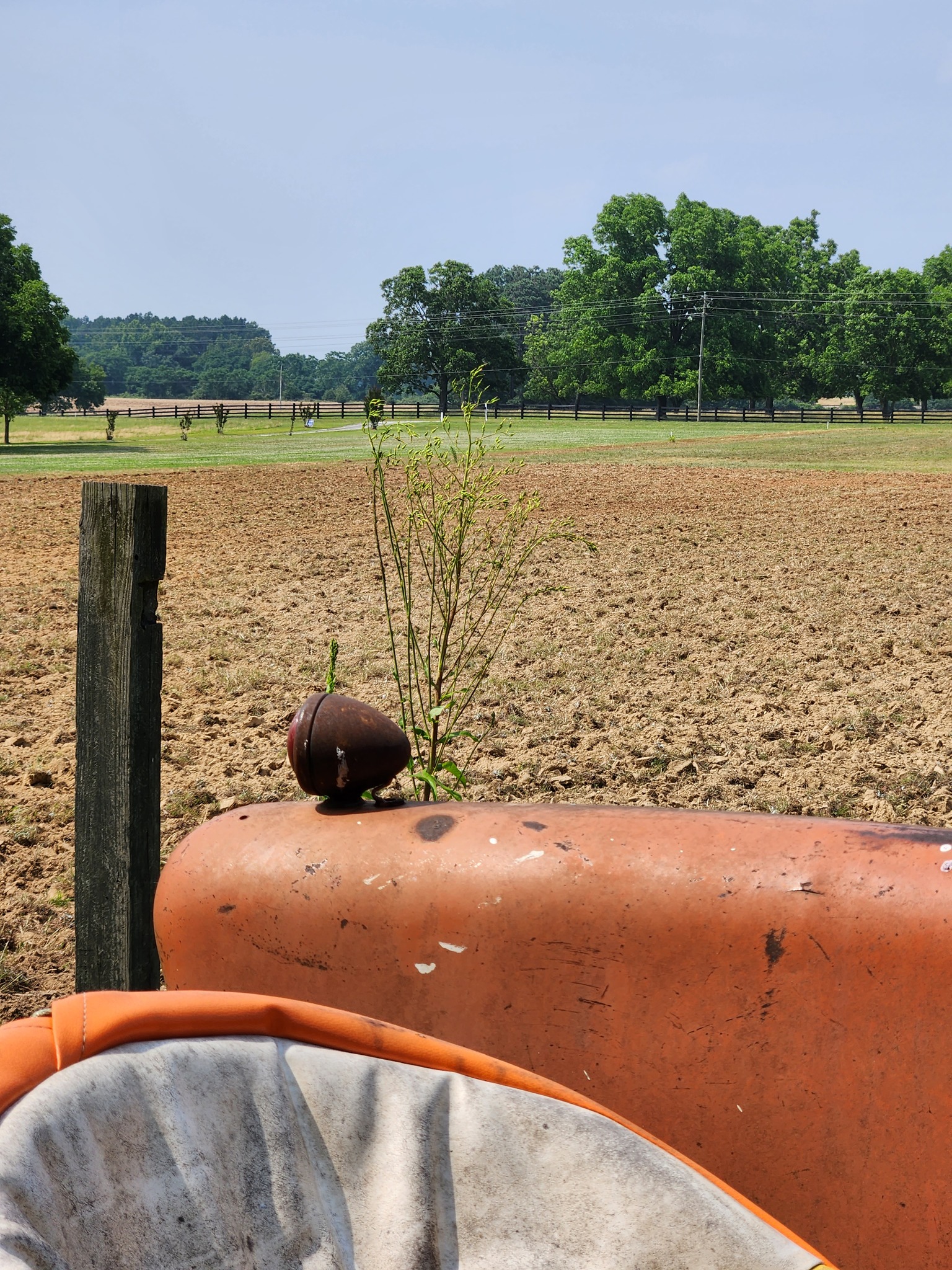 Wise A.s.s Farm | Newberry SC