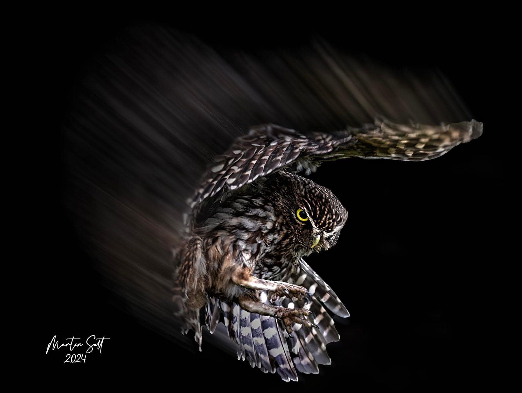 Martin Salt Fully Retired Professional Photographer - Stratford upon Avon