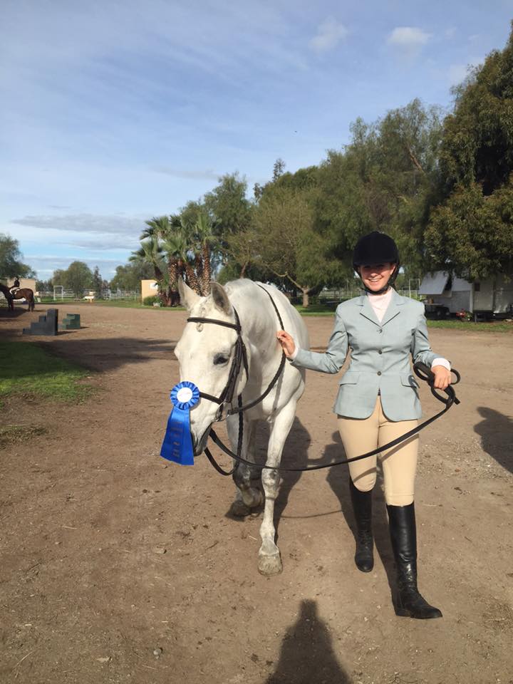 Premier Show Horses, LLC | Magnolia TX