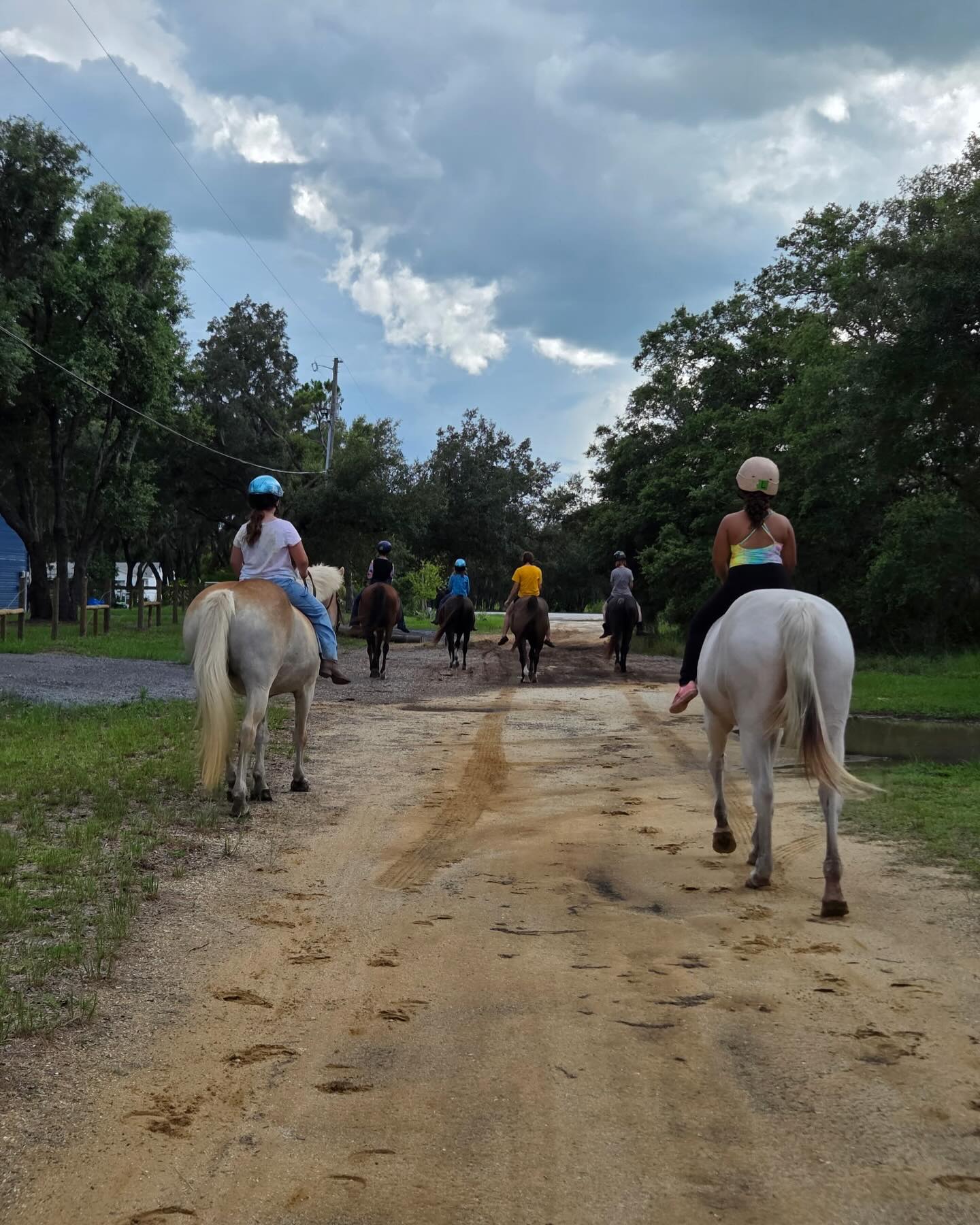 Rocking Horse Ranch added a new photo. - Rocking Horse Ranch
