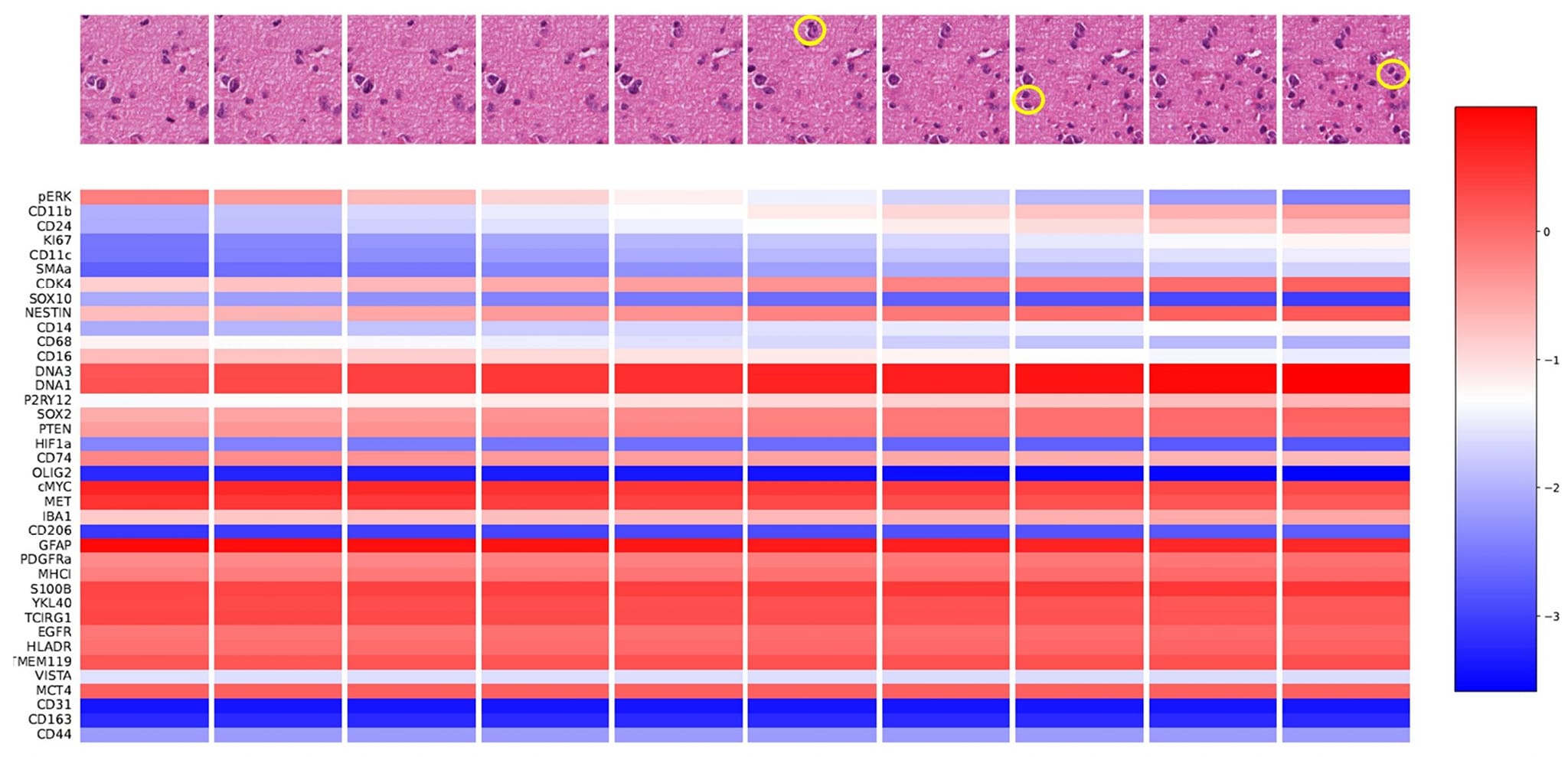 Biomedical Informatics Review