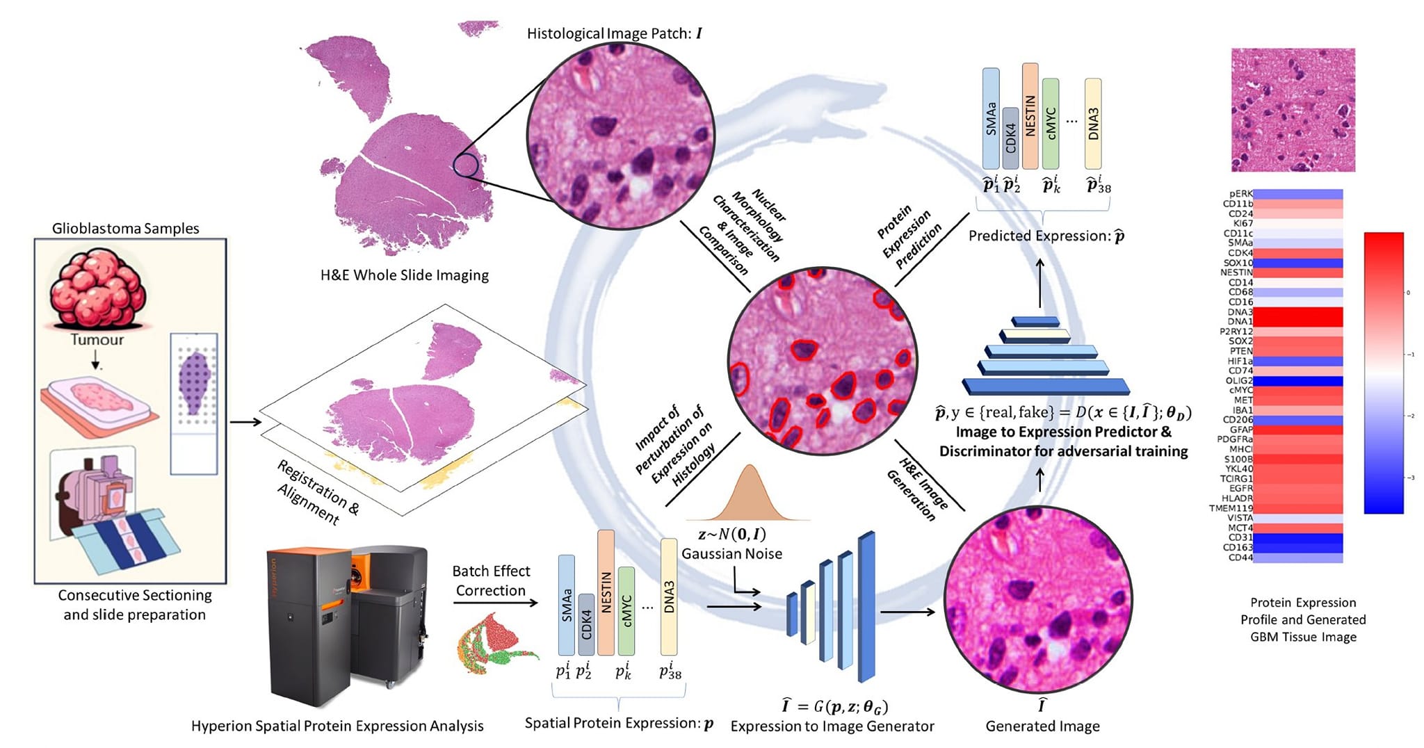 Biomedical Informatics Review