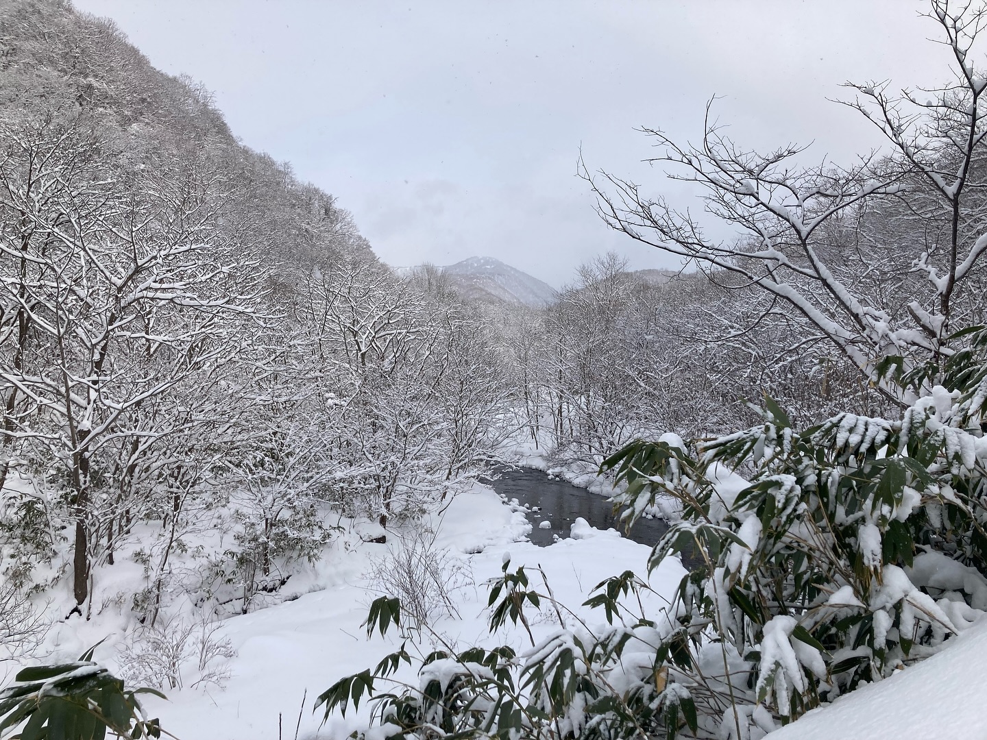 泊村観光協会 - 泊村観光協会 added a new photo — at 泊村アイスセンター「とまリンク」.
