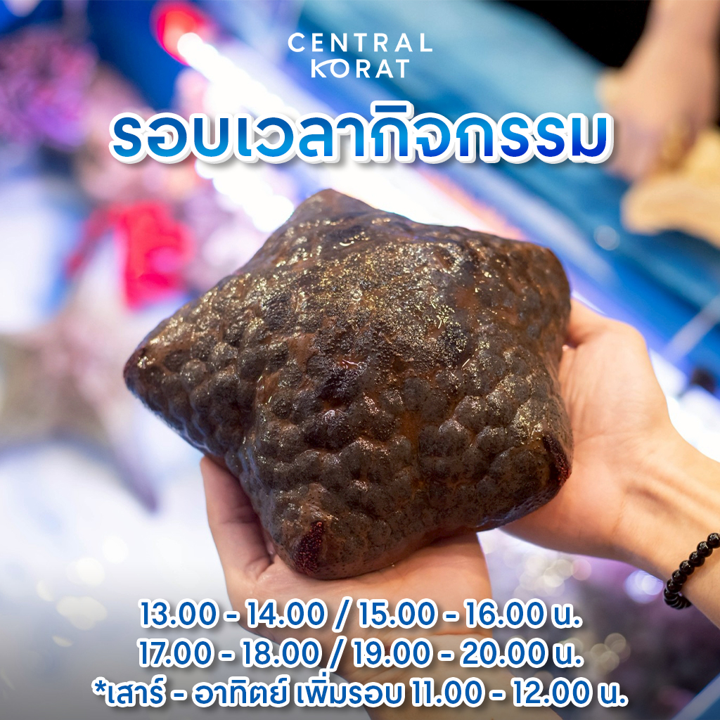 Central Korat - Central Korat added a new photo.