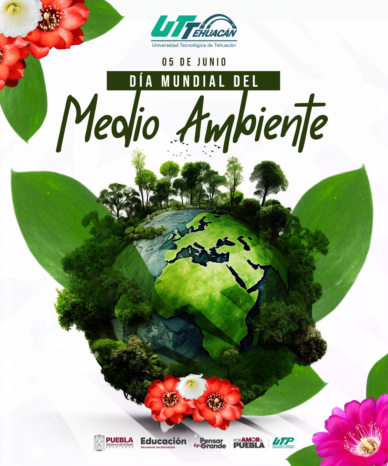 Universidad - 🌍💚 5 de junio | Día Mundial del Medio Ambiente 💚🌍 Hoy ...