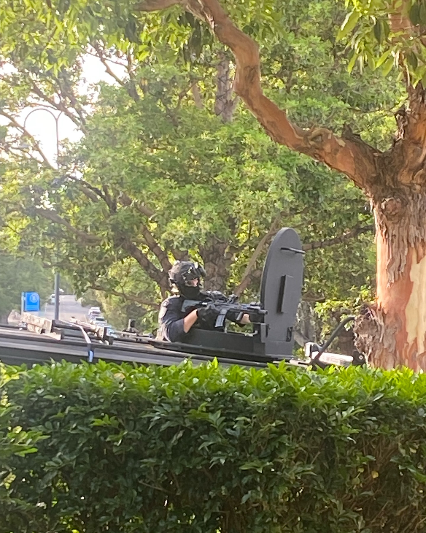 Mosman - POLICE RAID UPDATE 🚨 PRINCE ALBERT ST This is the moment ...