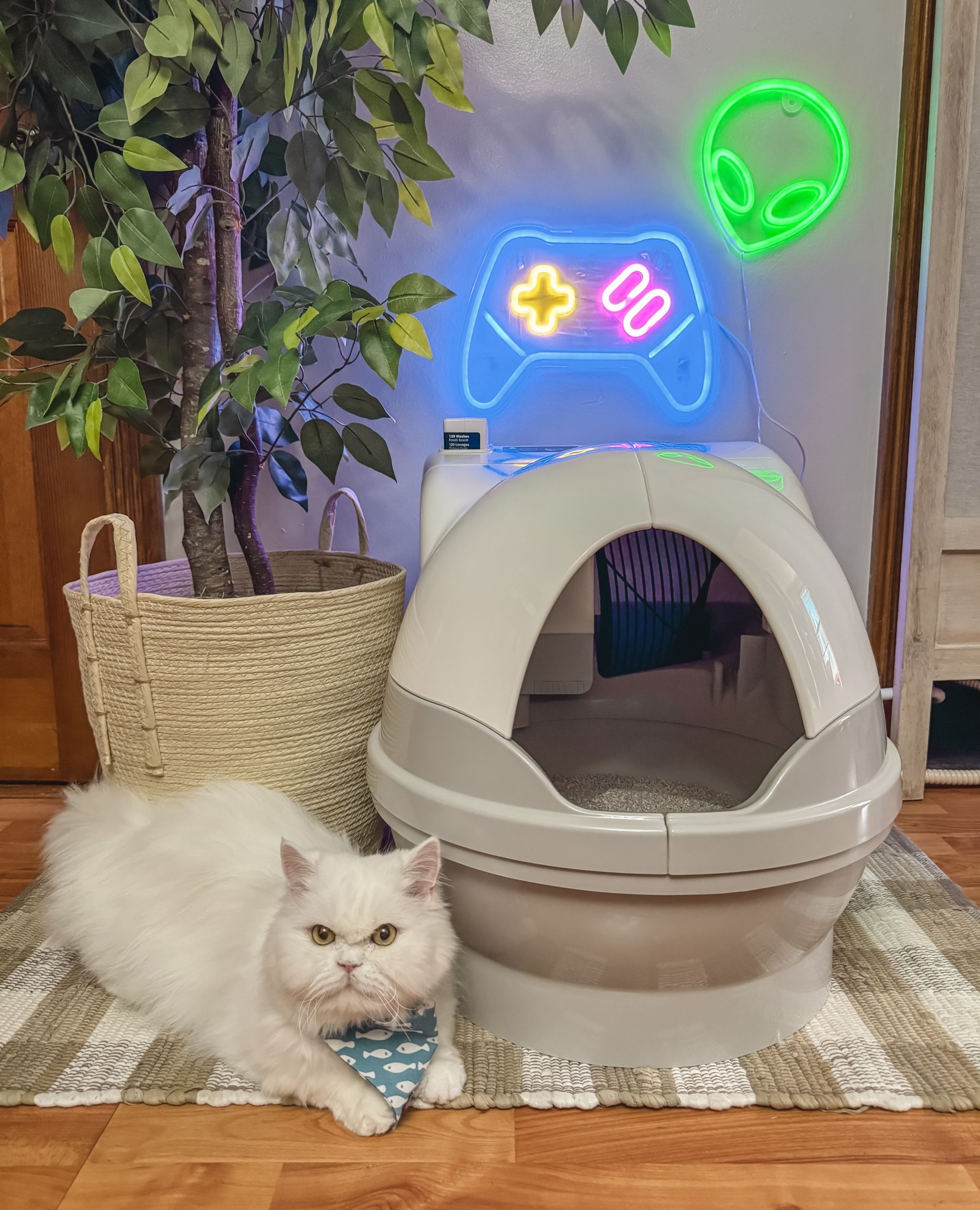 CatGenie - Gaming vibes + a clean CatGenie = the ultimate setup 🎮🐾 Your ...