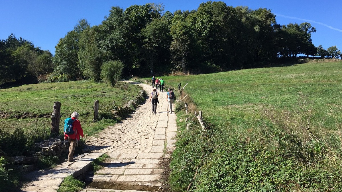 Pilgrim Path - CELEBRATE MID-SUMMER WITH A PILGRIM WALK?... | Facebook