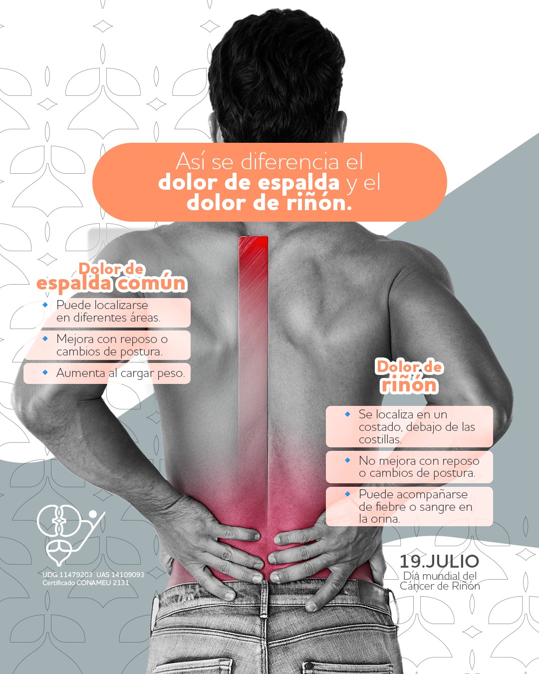 Dr. - 🚨👀 Muchas personas confunden el dolor renal con el dolor de ...