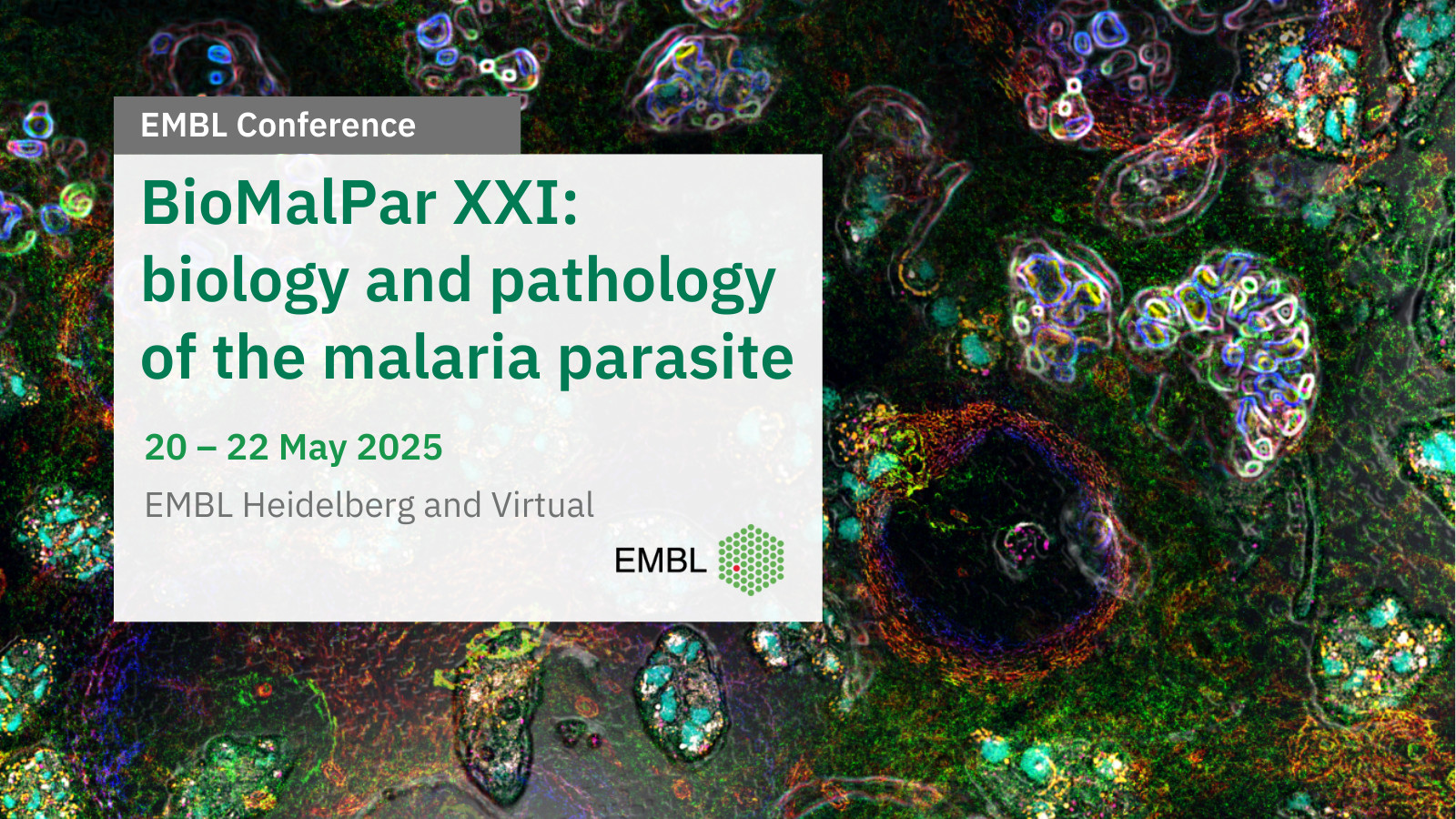 EMBL Events - 📢 Sign up for BioMalPar XXI and join us in... | Facebook