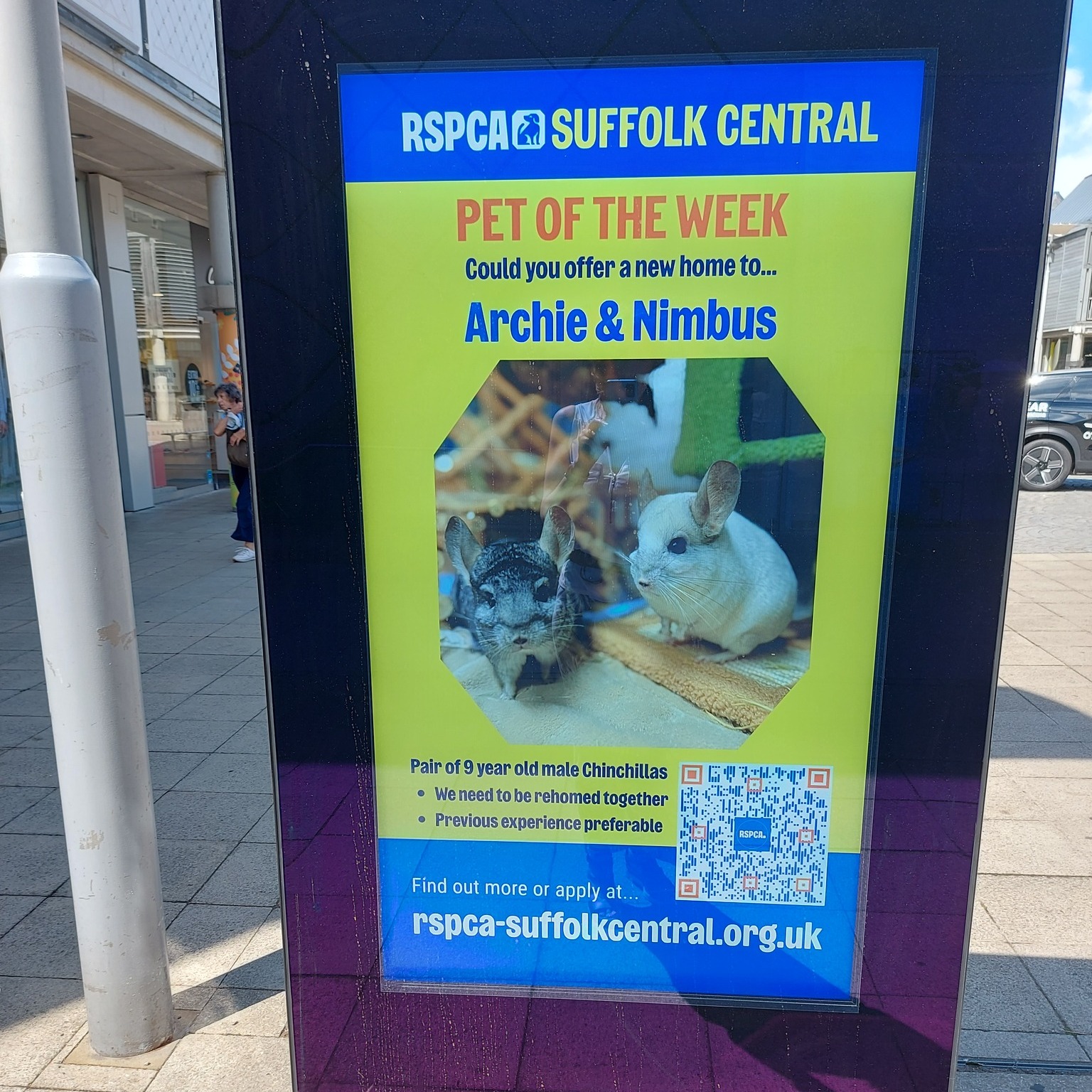 Take a look at our fabulous new... - RSPCA Suffolk Central | Facebook