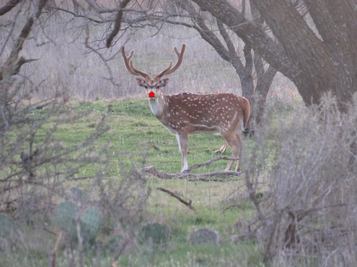 S4 Hunting Ranch