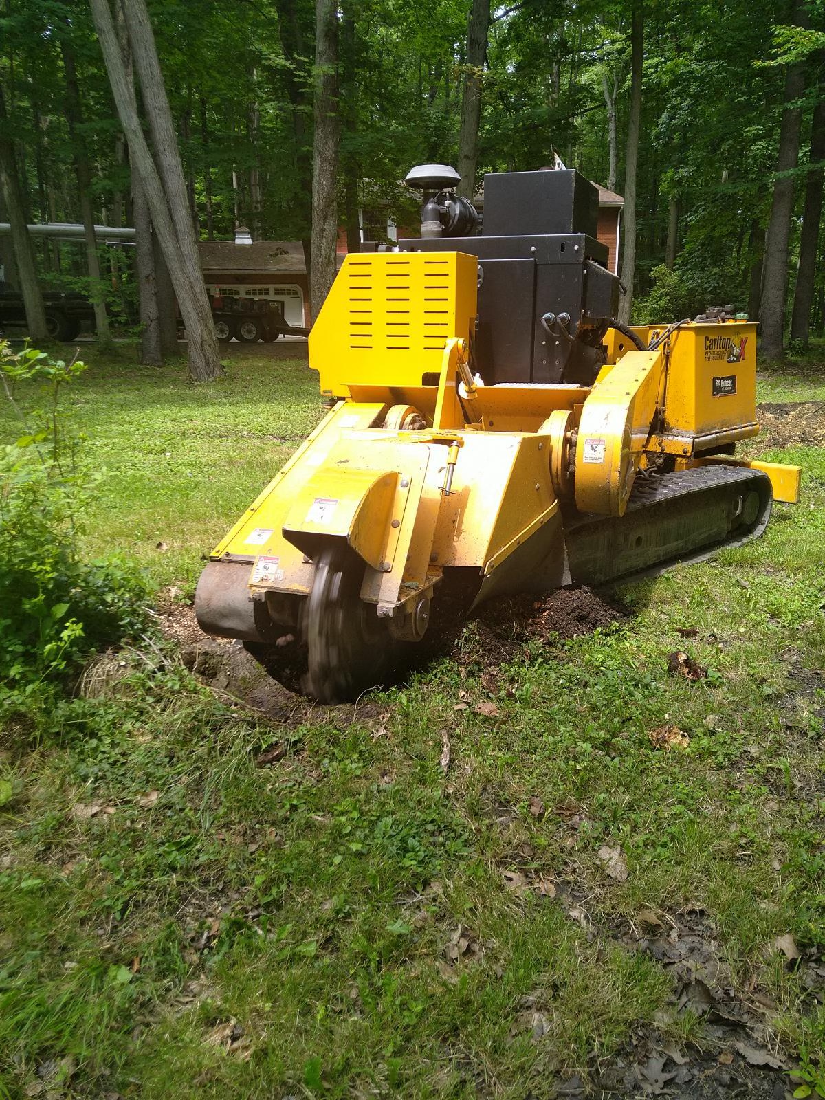 Roesch Tree Service & Stump Grinding | Conneaut OH
