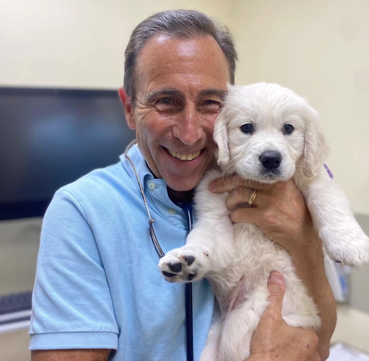 value-vet-westwood-los-angeles-ca
