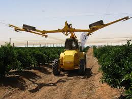 The Growing Importance of... - Citrus Research International | Facebook