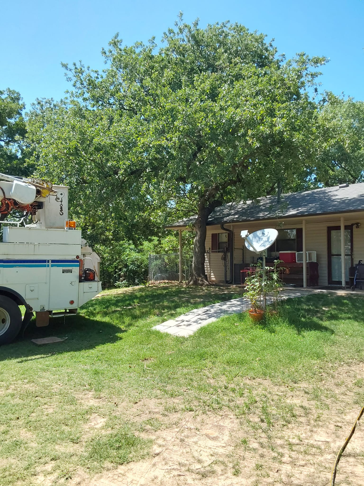 Shorty's lawn & tree service | Shawnee OK