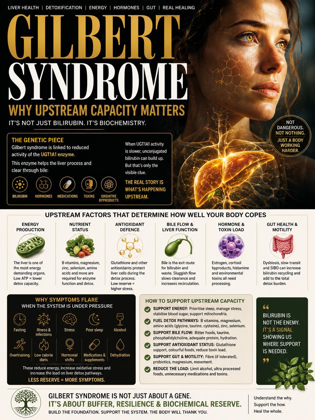 What is the best supplement to support liver for Gilbert's Syndrome?