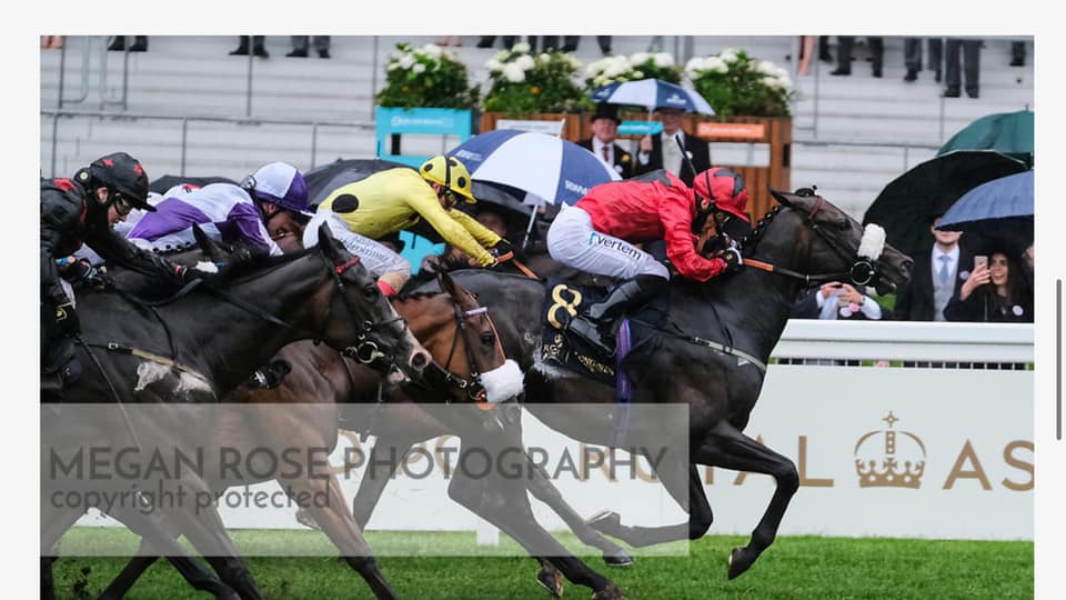 MEET OUT HORSES DREAM... - Peter Clarke Racing Club | Facebook