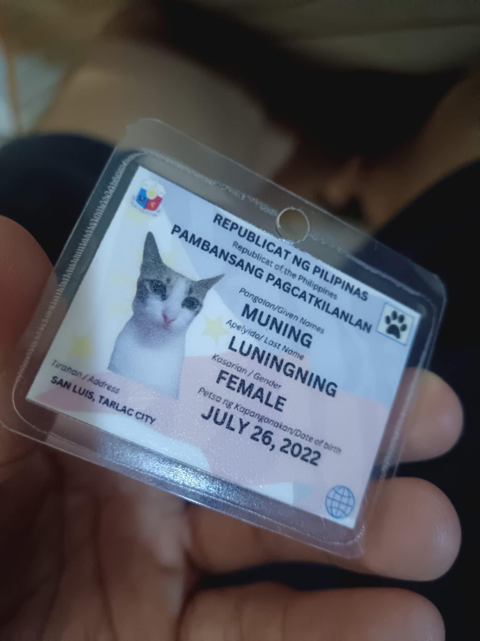 Buti pa 'yung pusa may national ID... - Pilipinas Today Kyusi | Facebook